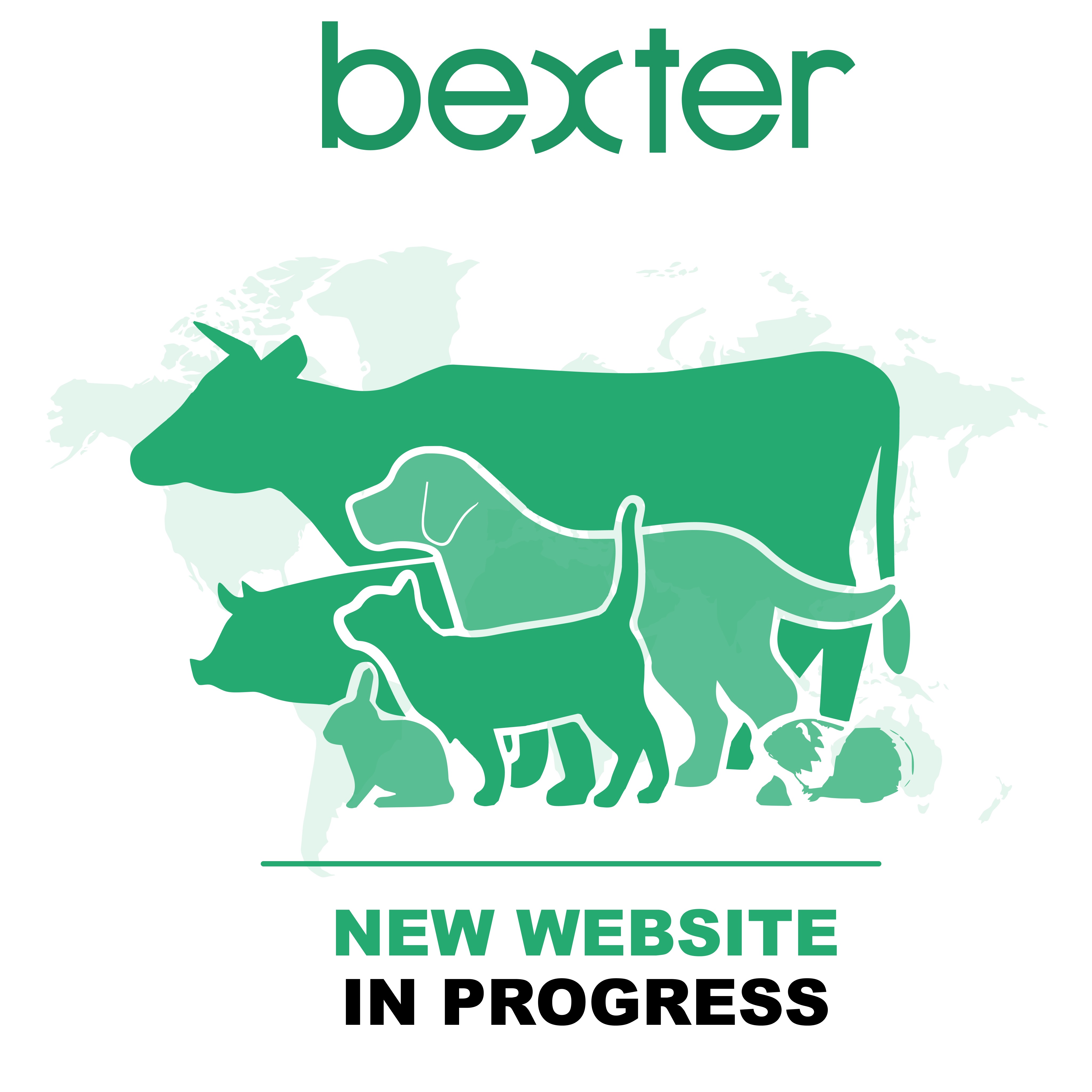 Logo adaptable